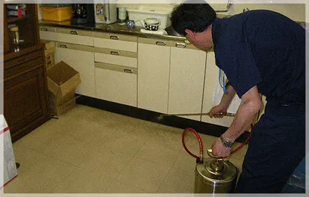 害虫防除・点検の写真