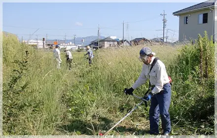 草刈・除草の写真