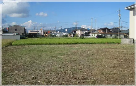 草刈・除草の写真